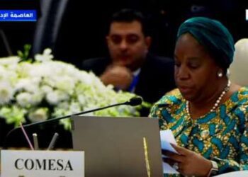 COMESA chief outlines bloc’s achievements at 21st summit in Cairo