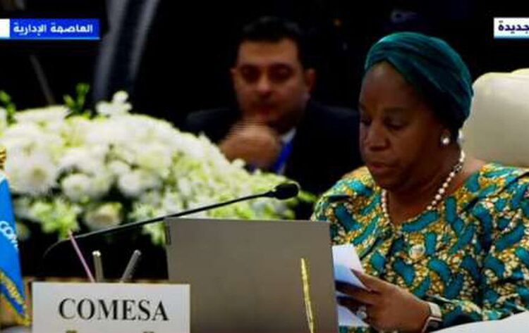 COMESA chief outlines bloc's achievements at 21st summit in Cairo 1 - Egyptian Gazette Chileshe Kapwepwe