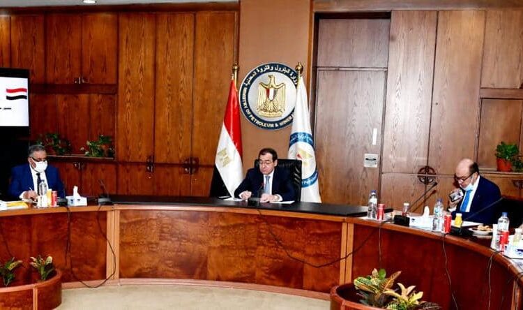 Egypt's Petroleum Minister Tareq Mulla (C) during the general assembly meeting of Iqat company on Saturday. (Photo courtesy of the Egyptian cabinet’s official Facebook page)