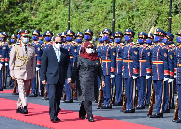 Sisi receives Tanzanian president 1 - Egyptian Gazette