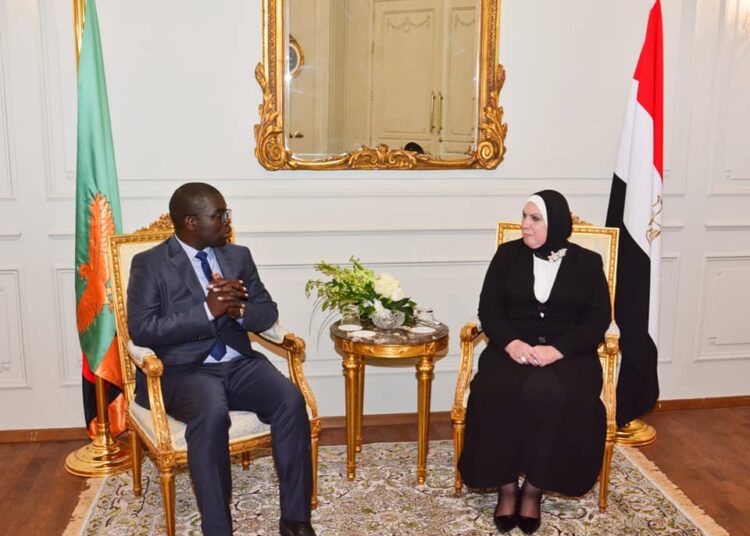 Egypt, Zambia discuss boosting economic co-operation 1 - Egyptian Gazette