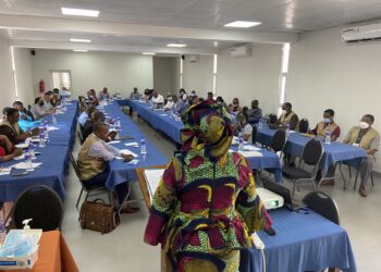 Egypt chairs PSC session on women