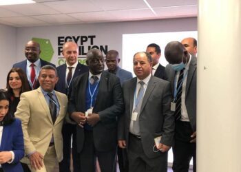 Finance min.: Presidential directives to expand green economy projects