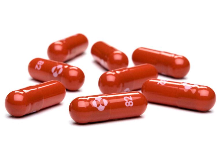 US health panel says Merck pill can prevent grave Covid infections 1 - Egyptian Gazette This October 18, 2021 handout photo courtesy of Merck & Co,Inc. shows capsules of the antiviral pill molnupiravir.