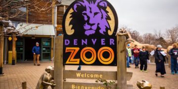 Denver Zoo reports world’s first coronavirus cases in hyenas