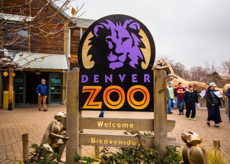 Denver Zoo reports world's first coronavirus cases in hyenas 1 - Egyptian Gazette Two hyenas at the Denver Zoo have tested positive for the coronavirus, the first confirmed cases among the animals worldwide, a national veterinary lab announced.