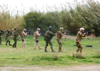 Egypt, Greece, Cyprus,UAE start MEDUSA 11 drills