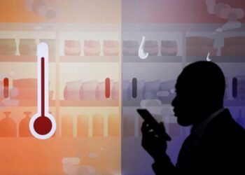 Global climate talks deliver moves to cut methane and deforestation