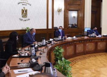 PM: Presidential directives to develop Egypt-COMESA regional integration