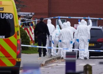 Egypt condemns Liverpool terrorist attack