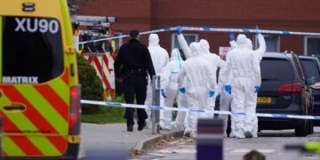 Egypt condemns Liverpool terrorist attack