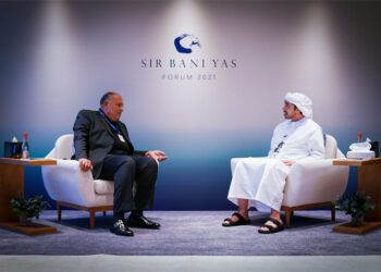 Egypt, UAE reaffirm profound, strategic character of relations