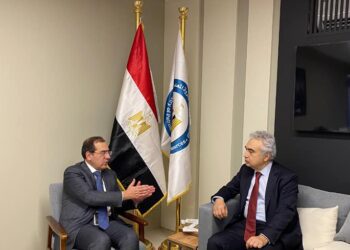 Egypt keen on coordination with IEA: Petroleum min.