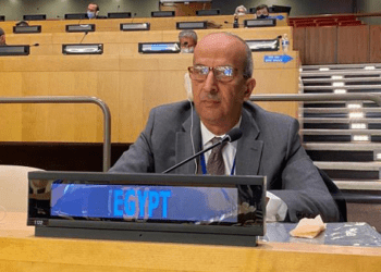 Egypt wins membership of International Law Commission for 2023-2027