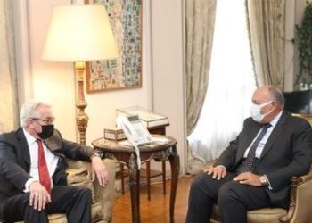 Shoukri probes with UN envoy promoting Middle East peace