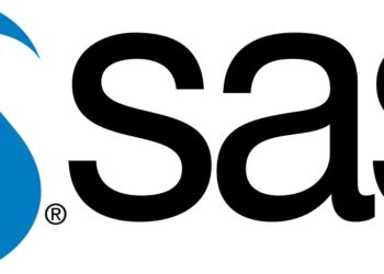 Curiosity improves employee retention and creates innovative workplace – study