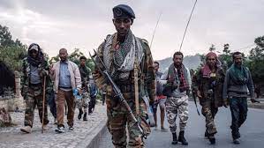 Tigrayan and Oromo forces say they have seized towns on Ethiopian highway
