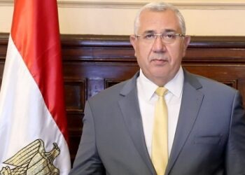 Quseir: China markets open doors for Egypt’s pomegranate exports