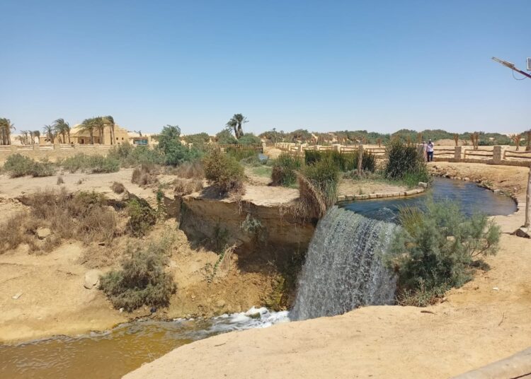 Environment Ministry reviews report on "Fayyoum better without plastic" project 1 - Egyptian Gazette