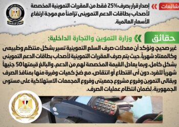 Egyptian gov’t denies cutting subsidized goods for citizens to only 25%