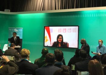 Egypt updates sustainable development strategy to cope with climate change – Minister