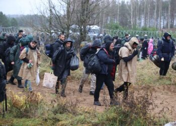 UNHCR alarmed by migrants at Poland-Belarus border