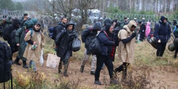 UNHCR alarmed by migrants at Poland-Belarus border
