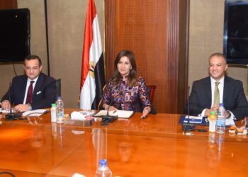 Continuous follow up to guarantee implementation of insurance document on Egyptian expats: Emigration min.