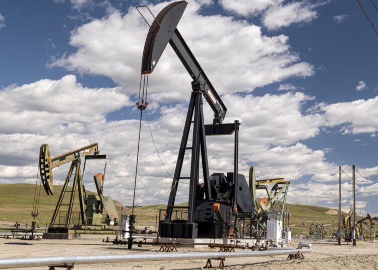 Oil prices recorded their steepest daily fall since July on Friday as a new COVID-19 variant spooked investors and added to concerns that a supply surplus could swell in the first quarter.