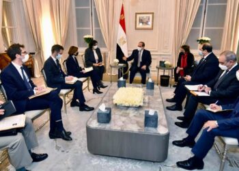 President Sisi appreciates strategic relations with France
