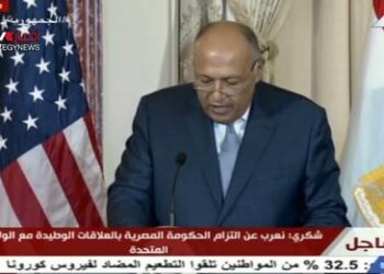 Egypt-US strategic dialogue reflects interest to restore momentum to bilateral ties, says FM