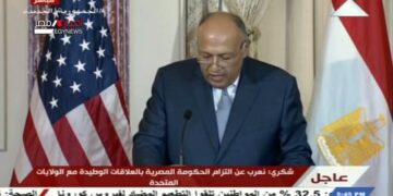 Egypt-US strategic dialogue reflects interest to restore momentum to bilateral ties, says FM