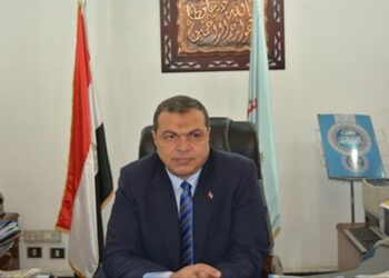 Egypt, Libya sign e-linkage protocol to regulate Egyptian workers’ access