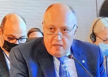 Egypt continues efforts to develop partnership with EU – FM