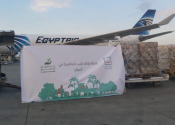 Decent Life sends humanitarian aid to Aswan