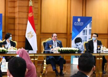 Sisi stresses state’s keenness to upgrade public universities
