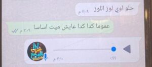 Interior ministry reveals truth behind fabricated leaks of state institution 21 - Egyptian Gazette