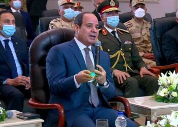 Sisi directs govt to provide support for reclaiming 400,000 feddan in Toshka