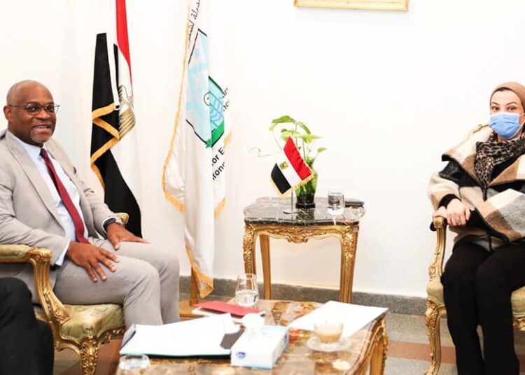 Fouad, AFD director disucss preparations for COP27 2 - Egyptian Gazette Fouad, AFD director disucss preparations for COP27 1 - Egyptian Gazette