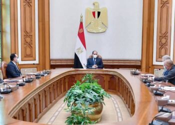Sisi discusses new, renewable energy projects with Norway Scatec Solar