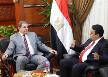Egypt, Libya launch e-linkage system to facilitate movement of workers