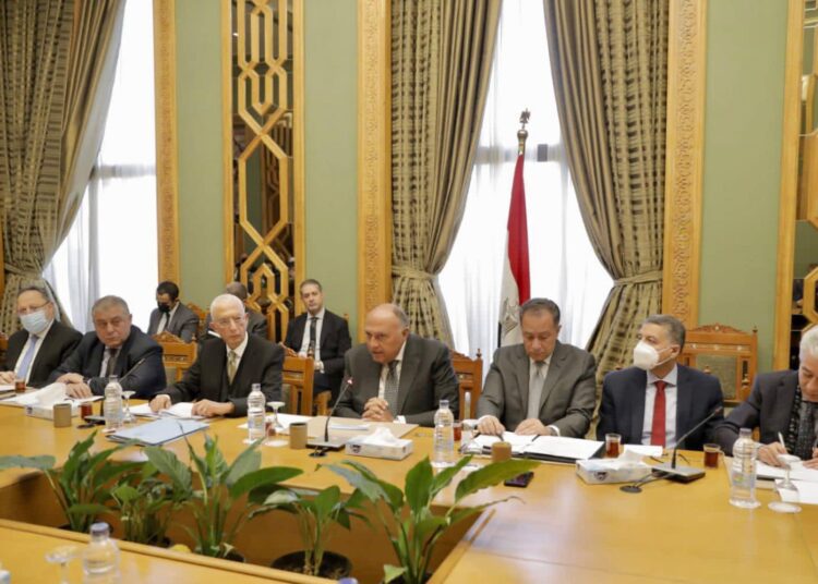 Egypt keen on advancing ties with African states - FM 1 - Egyptian Gazette