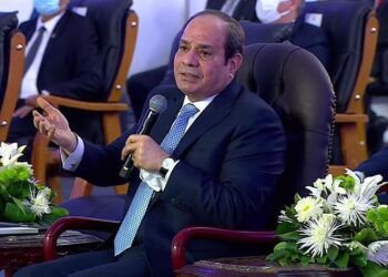 UPDATE- 2: Sisi orders offering development services on new roads