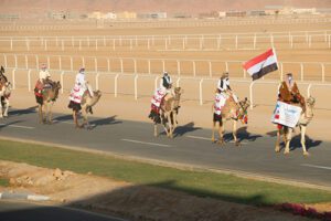 Dar El-Tahrir to sponsor Sharm camel races 5 - Egyptian Gazette