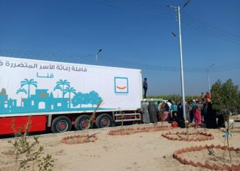 Decent Life sends food and medical convoys to Upper Egypt