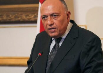 Egypt, Saudi FMs confer on bilateral ties, issues of mutual concern