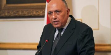 Egypt, Saudi FMs confer on bilateral ties, issues of mutual concern