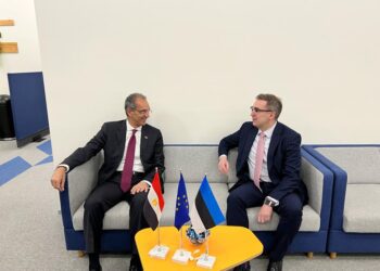 Egypt and Estonia probe co-operation ties in IT and cybersecurity