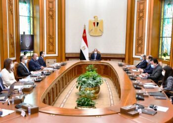 Sisi follows up on preparations for COP27