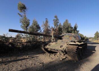 (Update) UN rights forum agrees to investigate abuses in Ethiopia